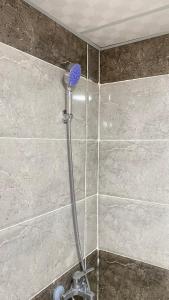 a shower with a blue shower head in a bathroom at Rest luxury camp in Disah