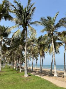 a row of palm trees on the beach at Kama Place in Muscat