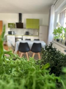 Foto dalla galleria di aPARTMENT KARL 22 ad Alsfeld Altre 9 foto