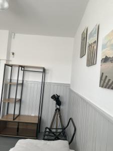 a room with a camera and a tripod in a room at aPARTMENT KARL 22 in Alsfeld