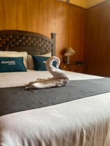 a swan sitting on a bed in a bedroom at Hotel La Posada Del Sol in Arequipa
