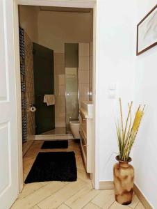 een badkamer met een douche, een toilet en een vaas bij Luxury CityApartment 2 in Wenen