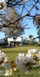 een bos witte bloemen voor een gebouw bij POSADA EL ROMANCE in Tandil