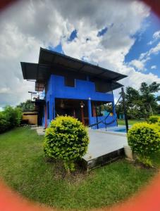 a blue house with a pool in the yard at Guacamayo Azul in Iquitos