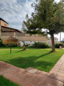 une cour verdoyante avec un arbre et un bâtiment dans l'établissement Torremolinos Playa Carihuela, à Torremolinos