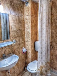 a bathroom with a sink and a toilet and a shower curtain at Vila Drumetului in Comarnic