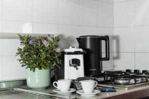 A kitchen or kitchenette at Topazio