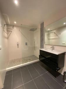 a large bathroom with a sink and a shower at L'Etoile de la Forêt in Bolquere Pyrenees 2000