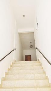 蒂拉登特斯Hostel Dela的相册照片