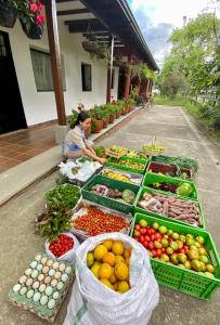 a woman sitting in front of a display of fruits and vegetables at POSADA DEL CAMINO REAL in Moniquirá