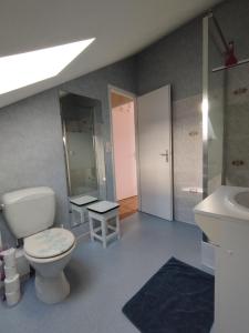 La Rose des Sables maison de pêcheur de 7 pers. في لي سابلِ دولونْ: حمام مع مرحاض ومغسلة