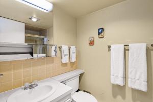 Un baño con lavabo, inodoro y espejo. en Chateau Roaring Fork Unit 29, Sunny, Corner Condo with River Views, en Aspen 7 fotos más