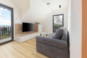 TV a/nebo společenská místnost v ubytování Apartments Nikolaj