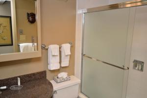 un bagno con doccia, WC e lavandino di Chateau Dumont Unit 11, Contemporary Condo with a Great Downtown Location ad Aspen