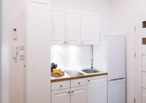 Kuchyňa alebo kuchynka v ubytovaní Memory Apartments