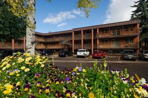 a parking lot in front of a building with flowers at Silverglo Condominiums 104, Budget-Friendly Studio Close to Downtown, Full Kitchen, New Bathroom in Aspen