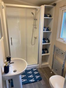 a bathroom with a shower and a white sink at Lovely new caravan by Loch Long in Cove