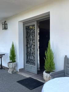 una puerta delantera de una casa con dos macetas en Casa Rural Camino de Hierro I y II en La Fregeneda