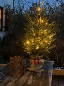 un piccolo albero di Natale con luci su un tavolo di Historisches Pfarrhaus Nähe Schloss Neuschwanstein a Burggen