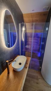 a bathroom with a white sink and a shower at Nid 2 cigognes in Zimmerbach +12 photos