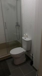 La salle de bains est pourvue d'une douche et de toilettes. dans l'établissement Brandão House, à Caparica