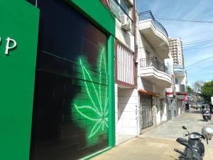 Lovely one bedroom apartment in Vicente Lopez في فيسنتي لوبيز: عنكبوت أخضر مرسوم على جانب المبنى
