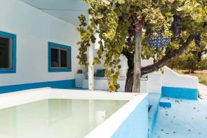 Πισίνα στο ή κοντά στο Casa Museu +24 φωτογραφίες