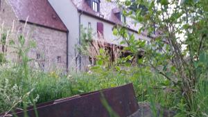 Zahrada ubytování Landgrafen-Mühle