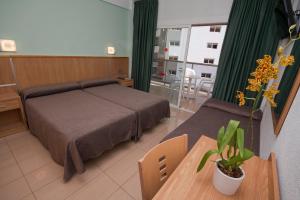 a bedroom with a bed and a table with a plant at Hotel Perla in Benidorm