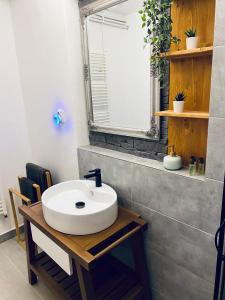 a bathroom with a sink and a mirror at Útulný apartmán pro odpočinek i základna turistiky in Jablonec nad Nisou