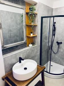 a bathroom with a sink and a shower at Útulný apartmán pro odpočinek i základna turistiky in Jablonec nad Nisou