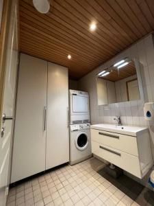uma cozinha com uma máquina de lavar roupa e um lavatório em Villa Himalaja Himos em Jämsä