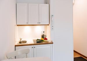 Kuchyňa alebo kuchynka v ubytovaní Memory Apartments