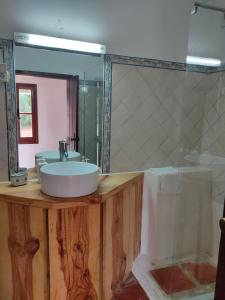 un bagno con lavandino e doccia di Monte Casa Nova Balsa ad Almograve