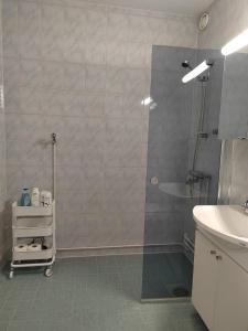 a bathroom with a shower and a sink at City Apartment Tieva in Rovaniemi