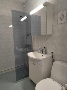 a bathroom with a toilet and a sink and a shower at City Apartment Tieva in Rovaniemi