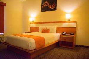 - une chambre avec un grand lit dans une chambre d'hôtel dans l'établissement Los Herederos Hotel Piedras Negras, 
