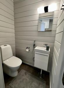 a bathroom with a toilet and a sink and a mirror at Himos Alahonka B in Jämsä +2 photos