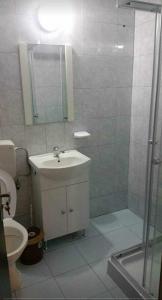 にあるPensiunea Pescareascaのバスルーム(シャワー、洗面台、トイレ付)