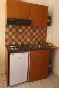 a small kitchen with a sink and a dishwasher at Athena Kythera in Dhiakofti