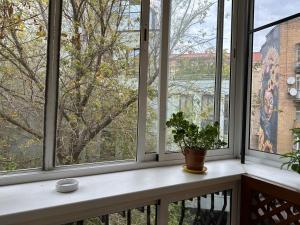 ein Fensterbrett mit einer Pflanze auf einem Sims in der Unterkunft Апартаменты на Бориса Гринченка in Kiew