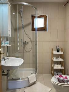 y baño con ducha, lavabo y aseo. en Kuća za odmor Saturnus en Karanac