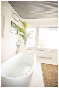 a bathroom with a white tub and a palm tree at Ivory (car) loft / Carloft in Neuwied