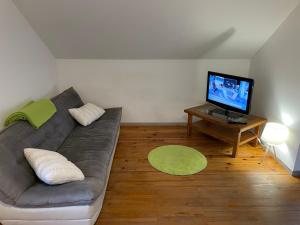 ein Wohnzimmer mit einem Sofa und einem Flachbild-TV in der Unterkunft Appartement cosy in Massignieu-de-Rives