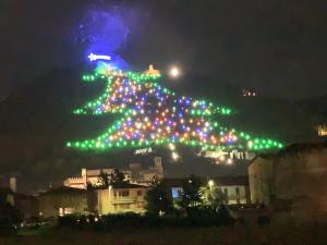 a large christmas tree on a hill at night at Casa Stefy Gubbio in Gubbio