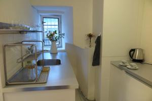 um balcão de cozinha com um lavatório e um vaso de flores em Hradčany apartment with green energy em Praga