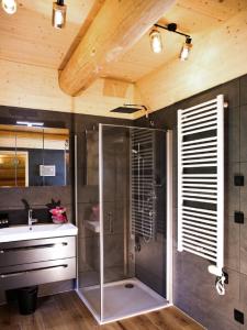 ein Bad mit einer Dusche und einem Waschbecken in der Unterkunft Ahütten in Bodenmais