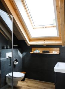 a bathroom with a toilet and a skylight at Ahütten in Bodenmais