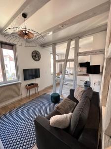 a living room with a couch and a tv at Le trésor de Khalis in Colmar