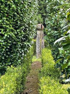 a hedge with a stone in the middle of a trail at Quinta Morazes Casas de Campo in Ribeira Grande